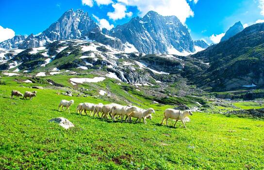 KASHMIR 5NIGHTS 6DAYS